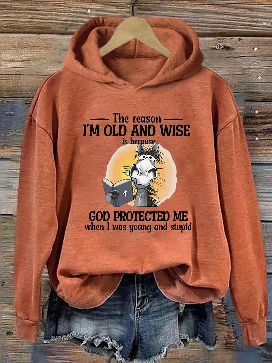 The Reason I'm Old And Wise Hoodie