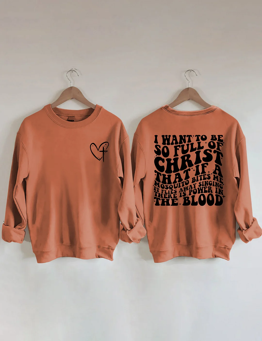 I Want To Be So Full Of Christ That If A Mosquito Bites Me Sweatshirt